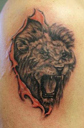 Tattoos - Angel Caban - Lion head